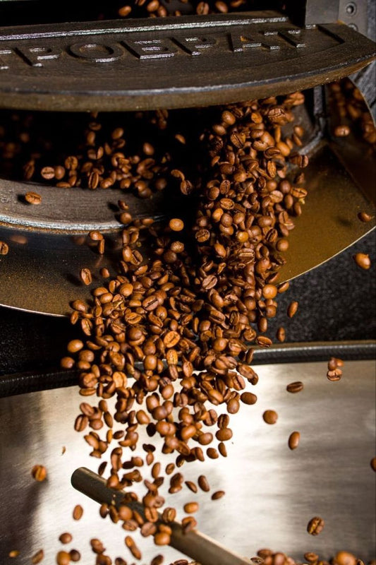 ¿Qué es el café de especialidad? Guía completa para entenderlo en 2026