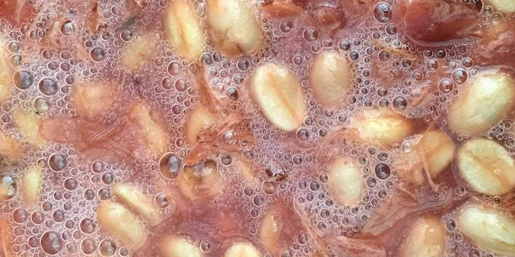 Qué es la fermentación anaeróbica en el café